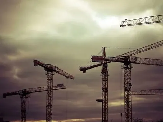 Предполагается, что общественная площадь земляных участков, выделенных...